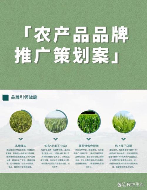 农产品网络推广，你必看的推广策略