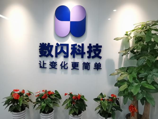 温州市区的网络技术公司，机遇与挑战