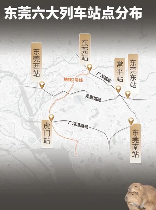 东莞建设网站的位置