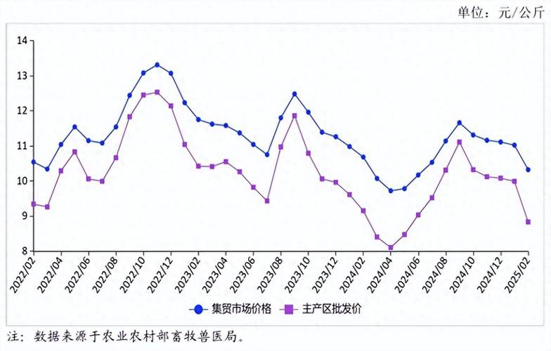 最新疫情消息，温州禽蛋市场深度剖析