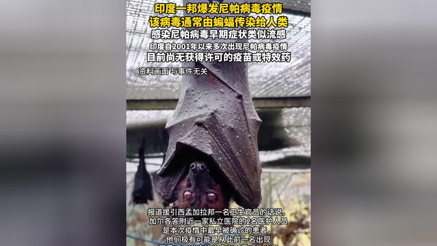 一、疫情的背景与爆发