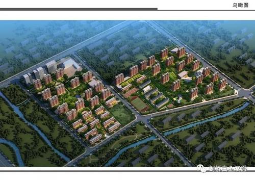 聊城市网络服务现状与未来展望