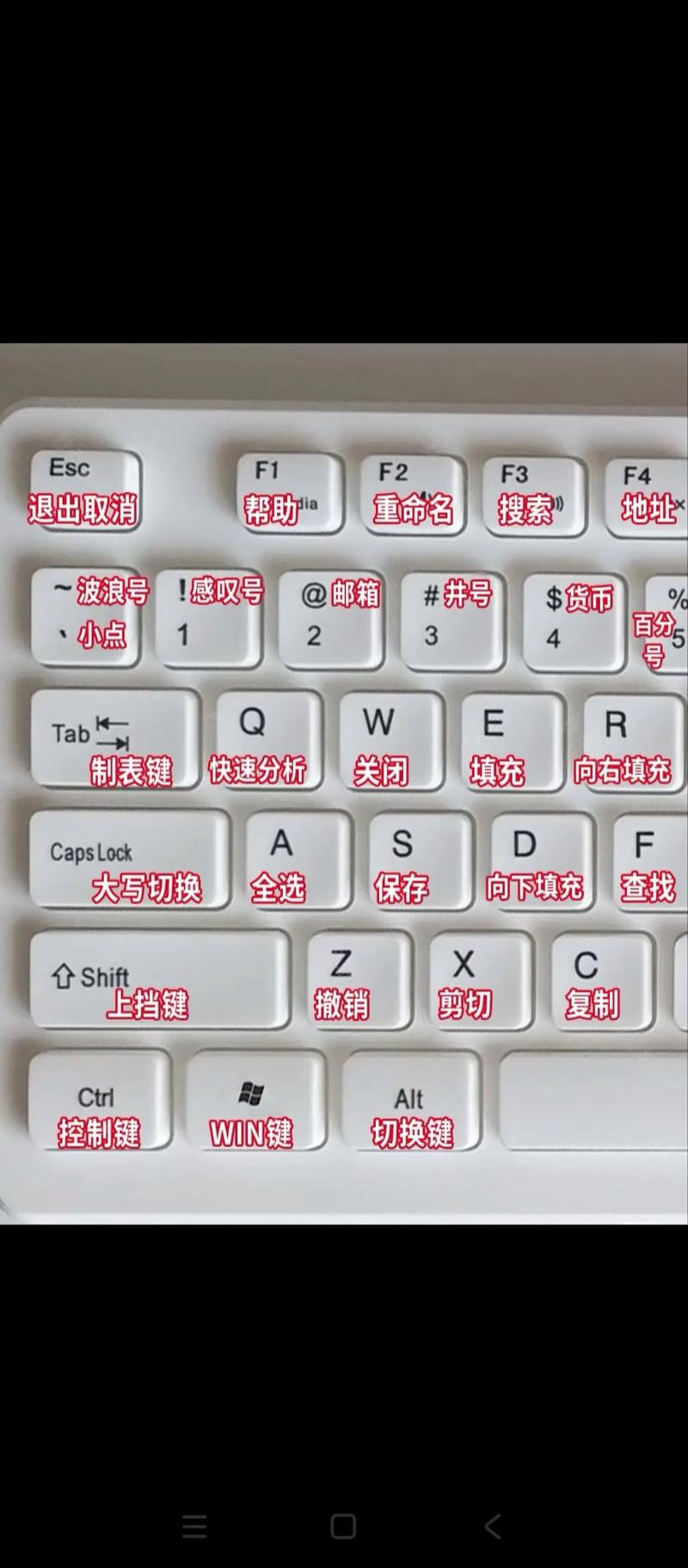 新手学电脑打字入门指南