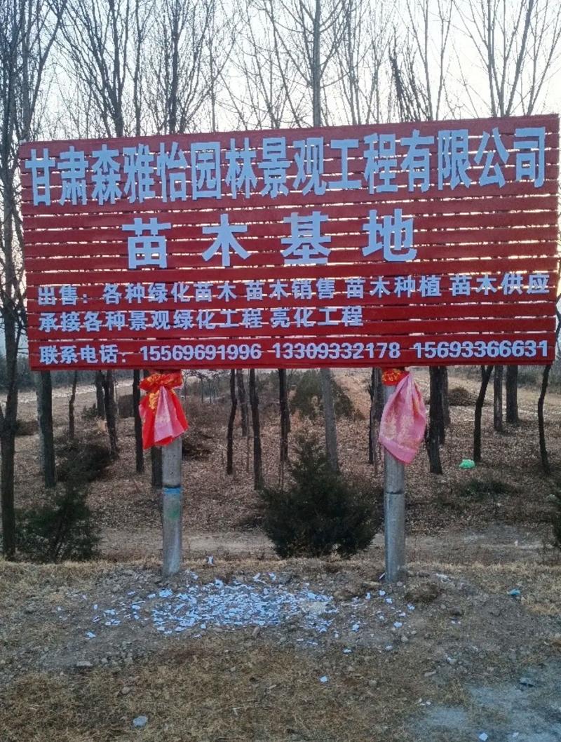 苗木网站如何建站？