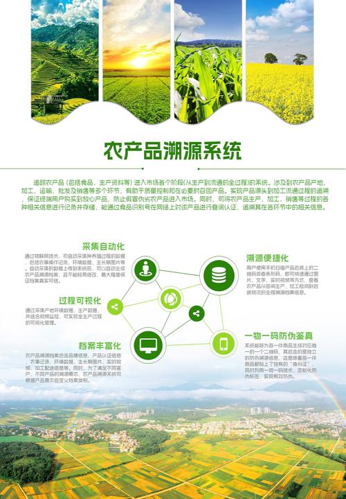 打造爆款农产品网站，从内容策略到持续优化