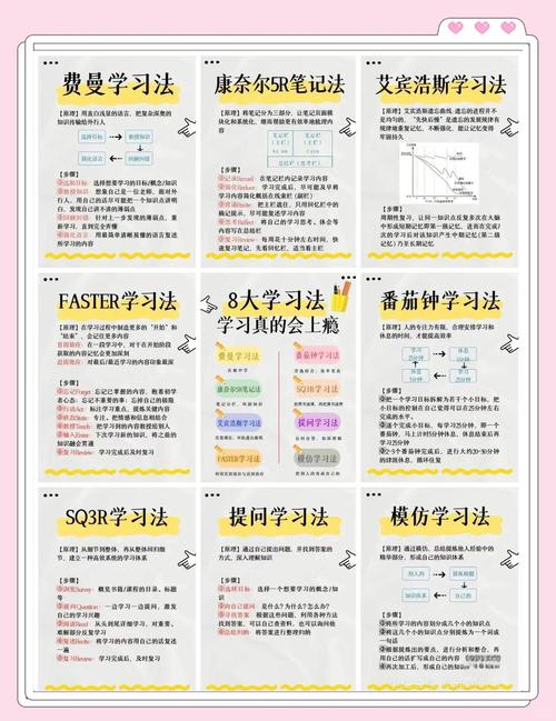 如何高效掌握学习方法？从基础开始，一步步提升你的学习能力！