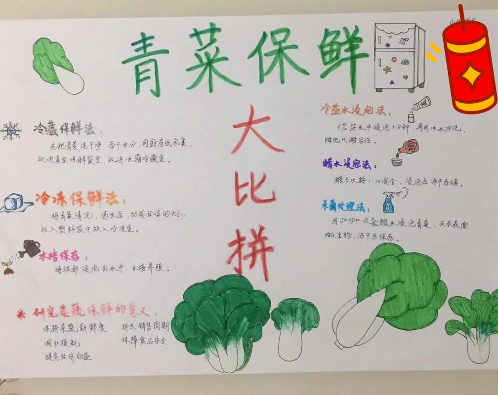 如何在不浪费任何蔬菜的情况下,让家人和朋友每天都有新鲜的蔬菜