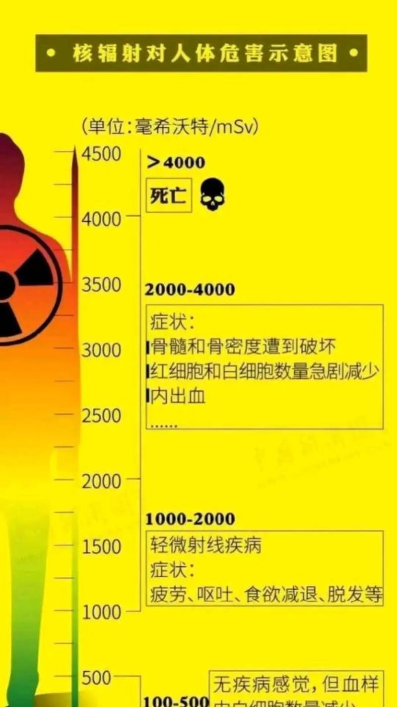 电脑辐射距离，你正在承受的健康风险