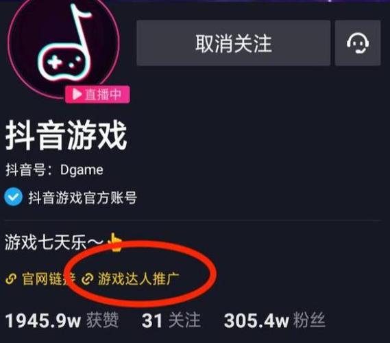 如何进行抖音游戏认证代刷?指南与步骤解析