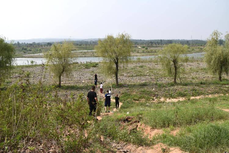 洛宁长水疫情最新动态，生活与疫情的微妙关系