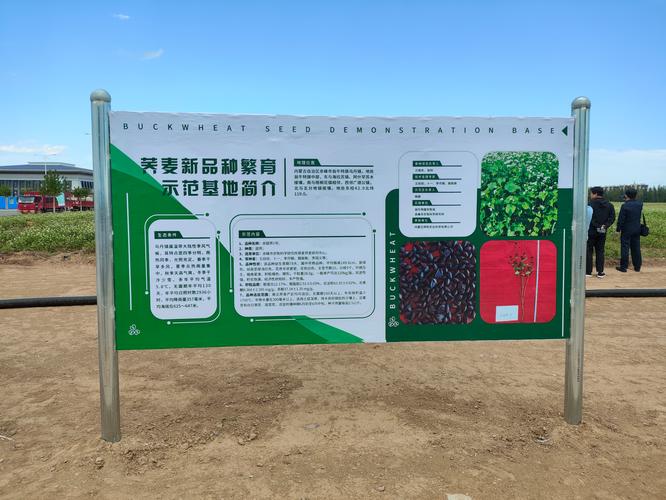 赤峰网站建设指南，从基础到未来