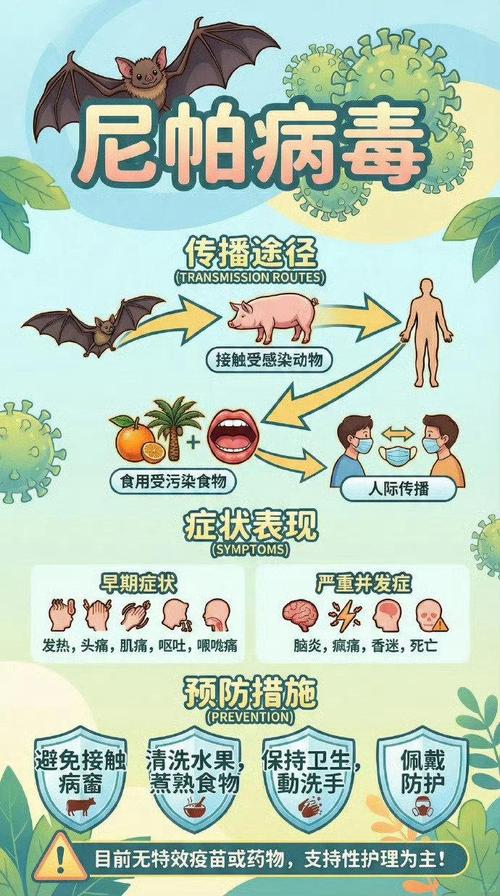 罗马尼亚库尔勒疫情最新消息，感染风险及应对指南