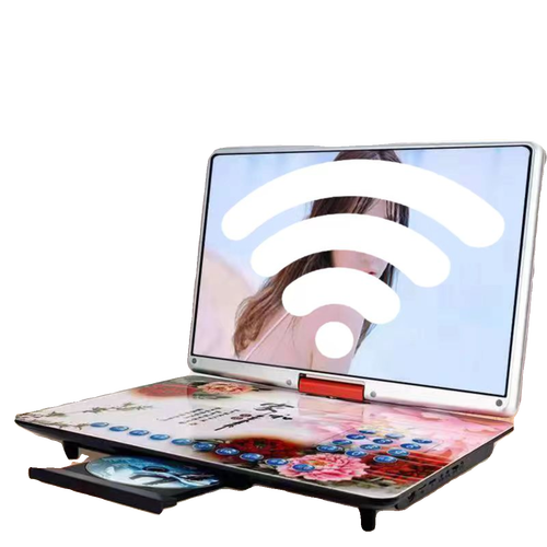 电脑利润，如何从dvd播放器开始