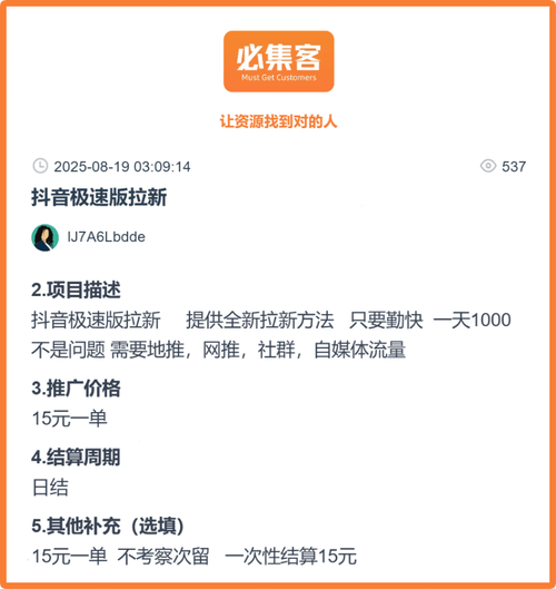 24小时独立运营,轻松赚取可观收益,友代刷抖音合作指南