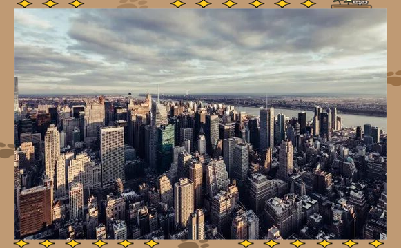 深圳互联网发展中的困境与困境