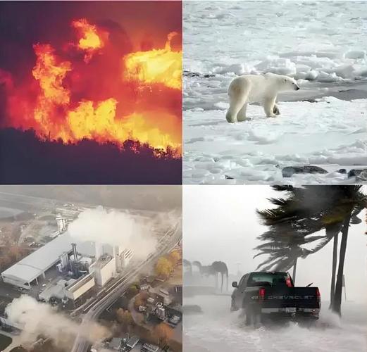 环境危机，洋酒与疫情的交织