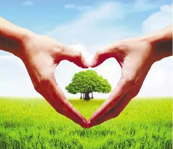 台州椒江网络广告，你的选择