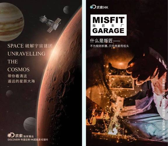 节目点赞,影响内容质量的关键因素