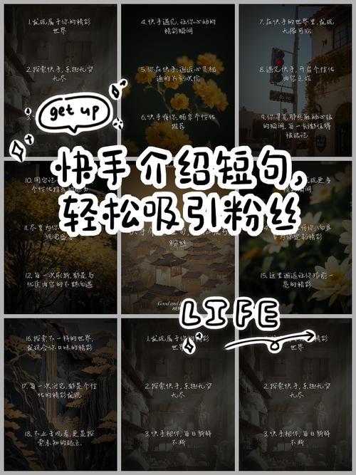 如何有效地进行快手评论