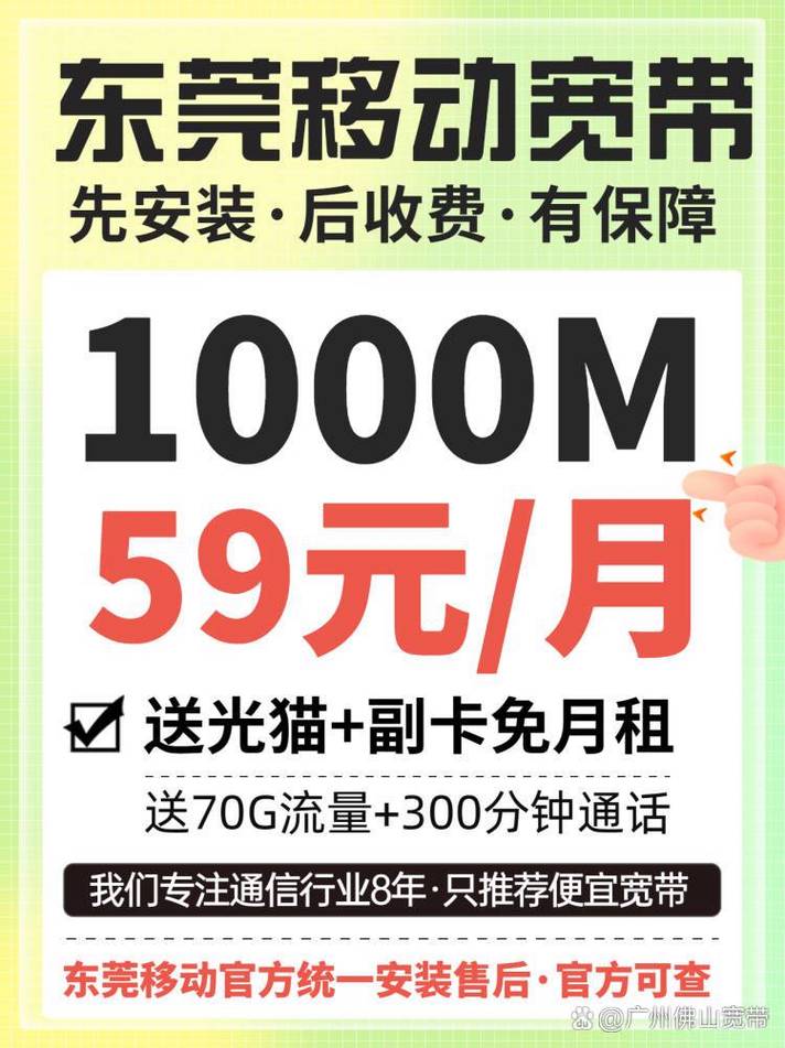 天网络东莞,技术领先,服务贴心