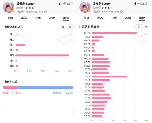 如何利用粉丝活跃度和活跃时间提升粉丝满意度和转化率