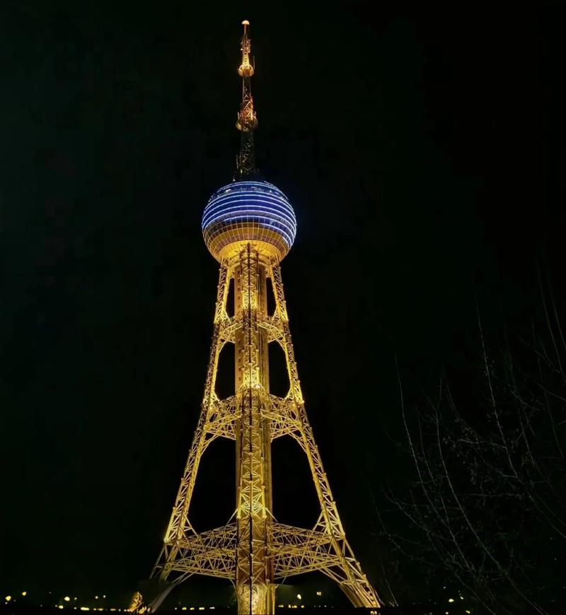 西宁市网络,城市的未来之光