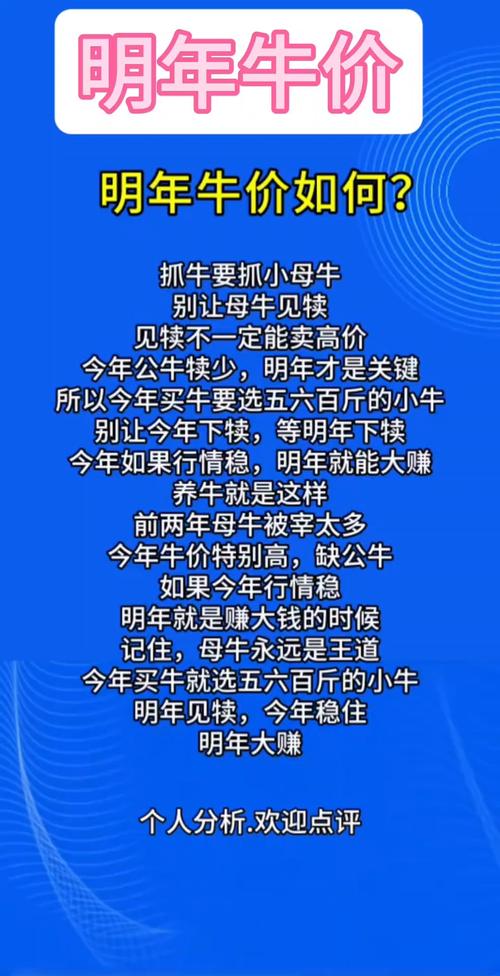 网络营销中的牛价网络，如何在竞争激烈的市场中脱颖而出