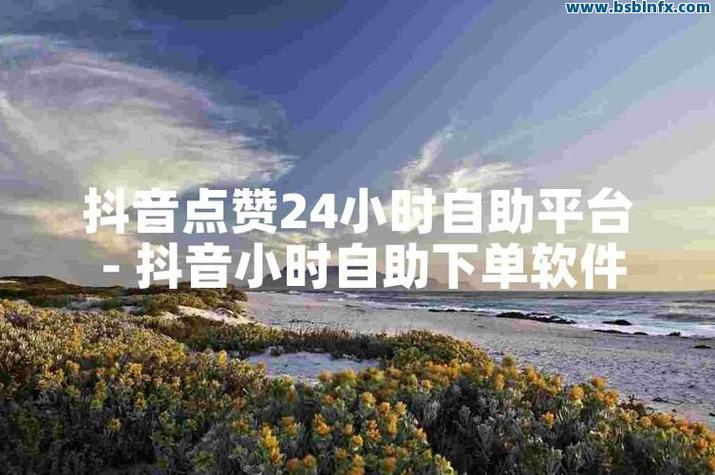 KOL清赞系统，一键清赞，超低价，让KOL快速变现！