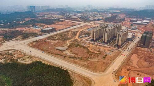 博白网络公司怎么样？这些信息你必须知道