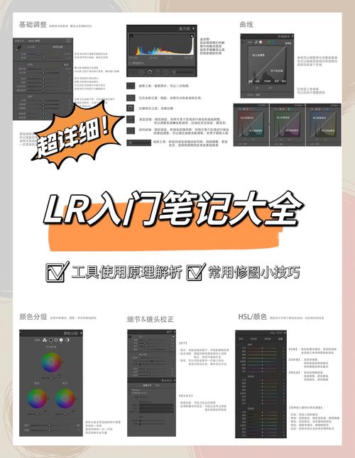 如何在抖音上高效利用秒赞工具？掌握这些技巧，your content will be seen more times！