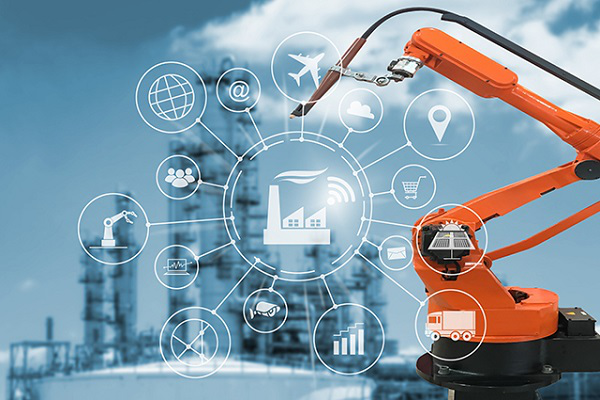 探索廊坊纵横网络有限公司的业务模式与未来展望