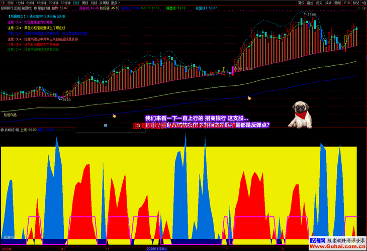 武威网络优化指南