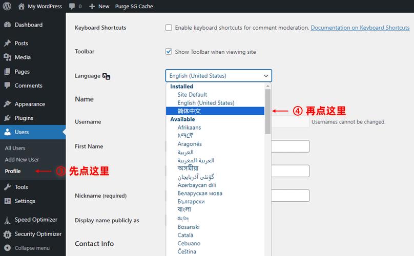 网站SEO优化指南，如何自然融入英语词汇