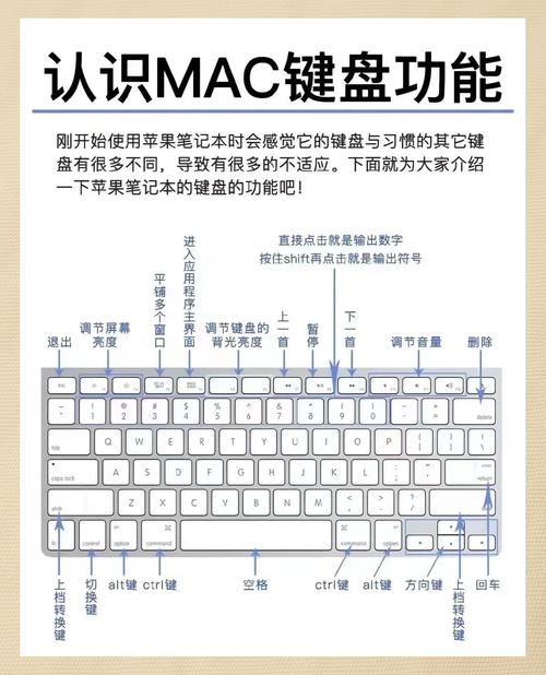 笔记本电脑按键错乱？这些小技巧让你的键盘不再颤抖！