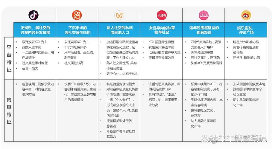 首先，了解短视频平台的特点