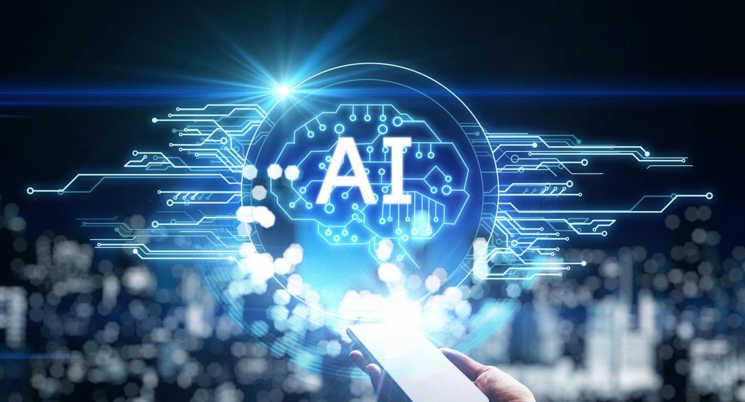 国家网络公司，机会与挑战并存的未来