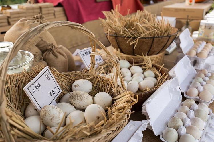 疫情下益阳打牌复苏,旅游业迎来新机遇