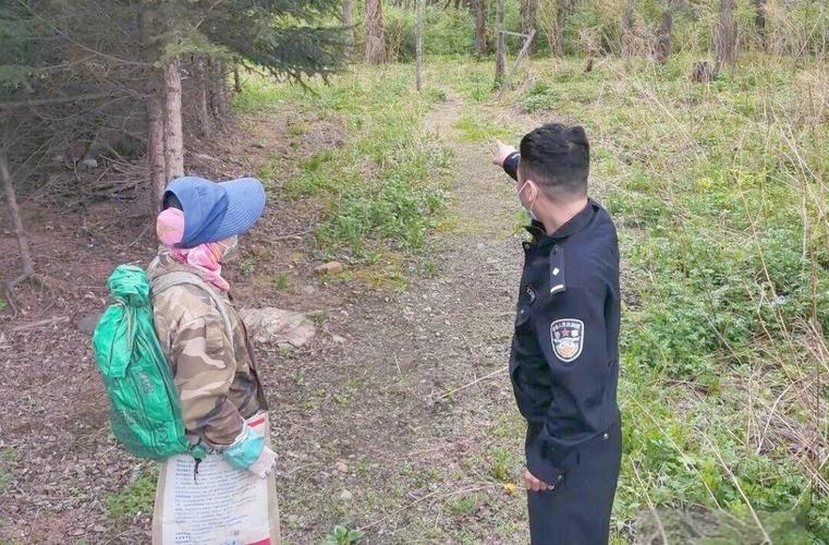 发现蛟河疫情的最新动态？这则指南让你了解这些数据背后的含义和应对策略