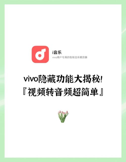 如何选择适合抖音平台的播放器,从功能到优化