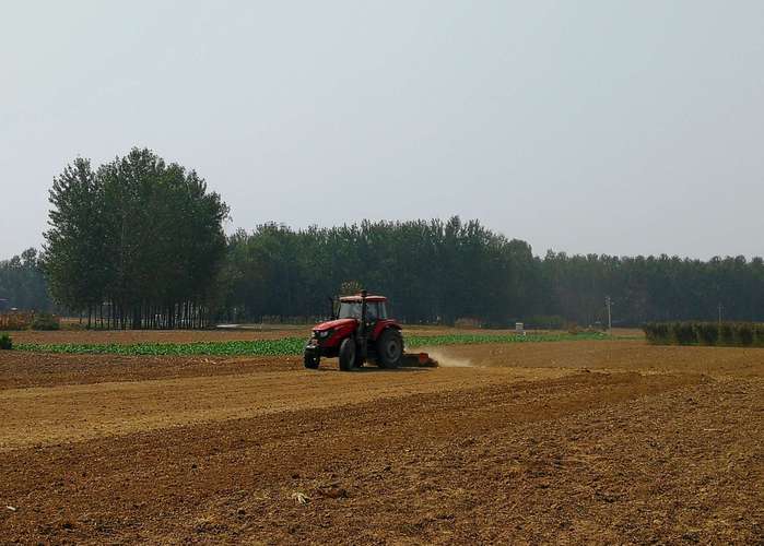 河南大王庄疫情最新动态，疫情防控重点区域探秘