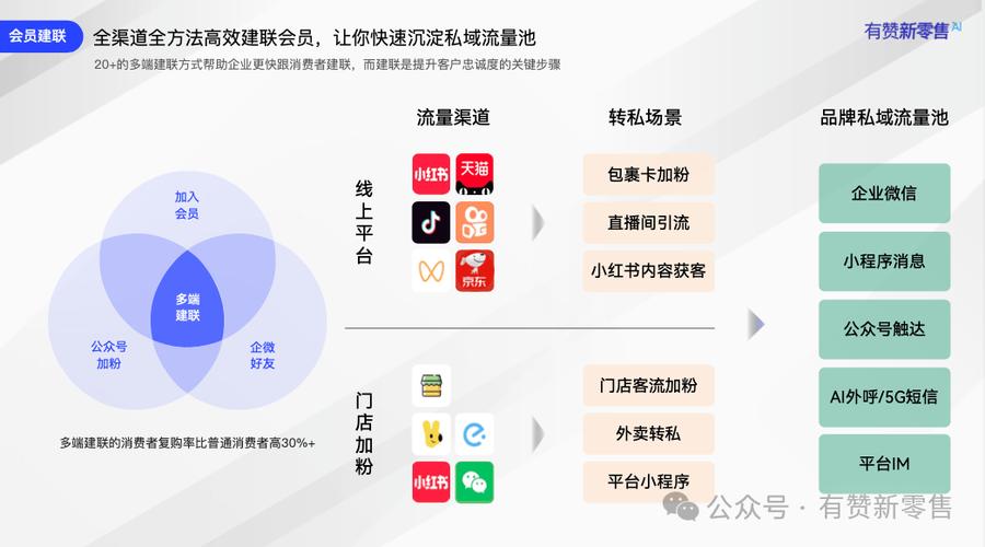 免费涨粉网站，高效转化的关键之路