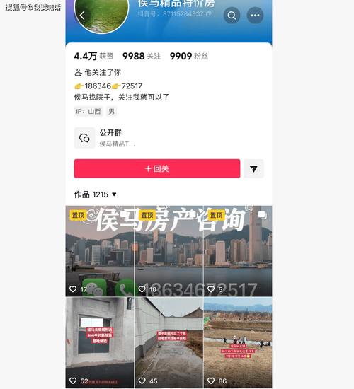 一、抖音刷赞平台的合法性问题