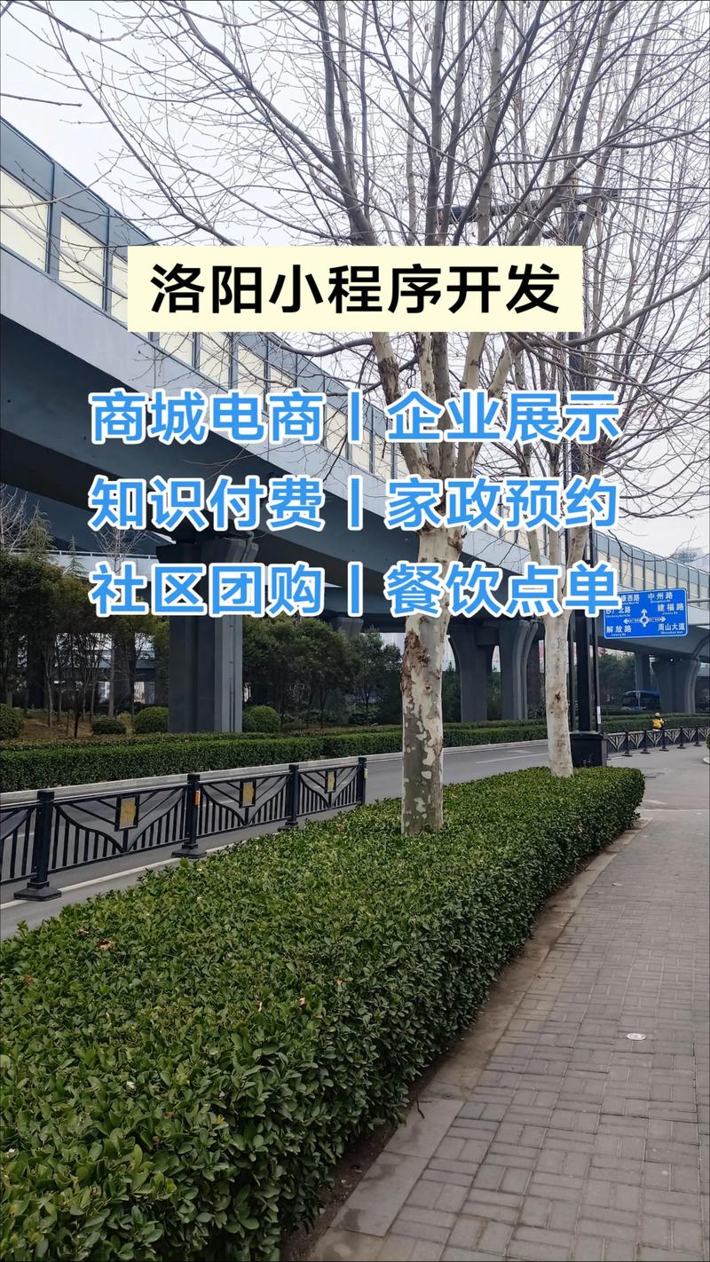 洛阳网络营销外包,助力网站优化,提升流量与收益