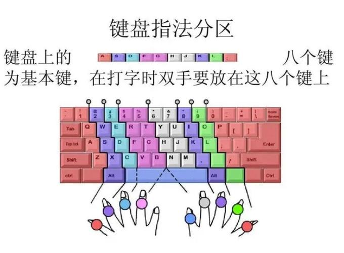键盘指法练习指南，提升输入效率的必修课
