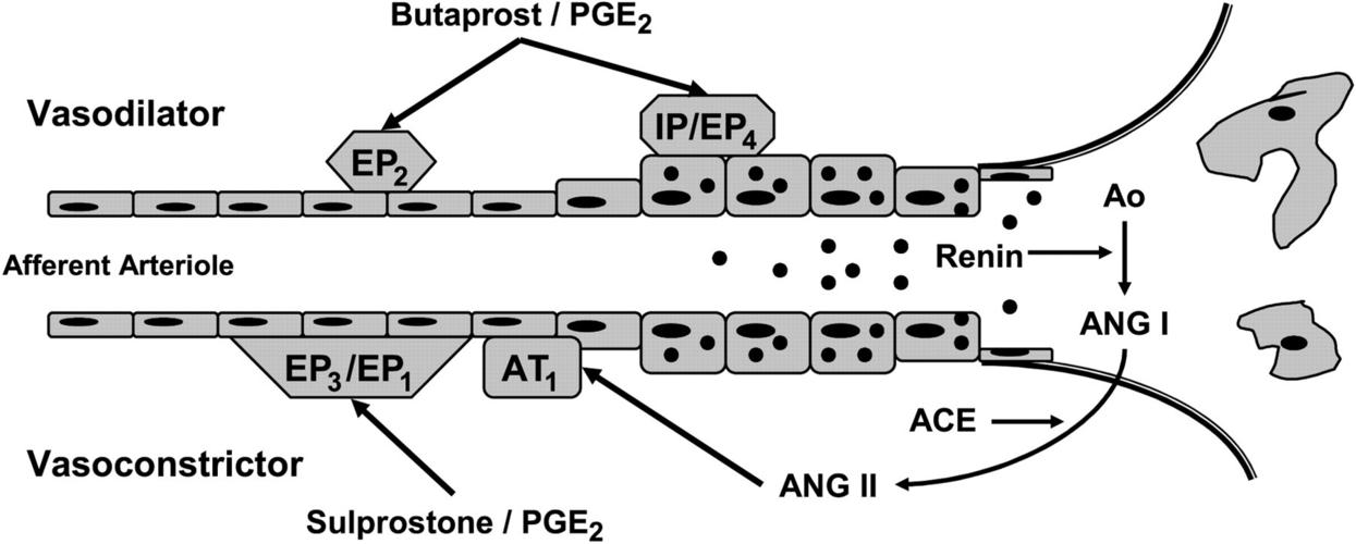 苹果与戴尔，连接与拆解的双向推理