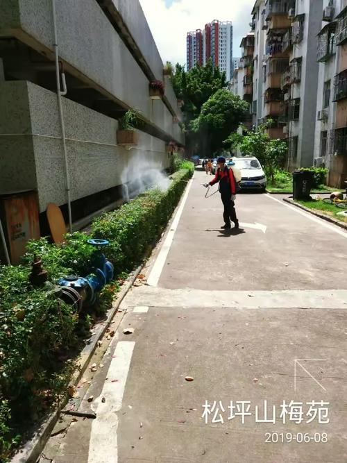 广州西禄疫情最新动态