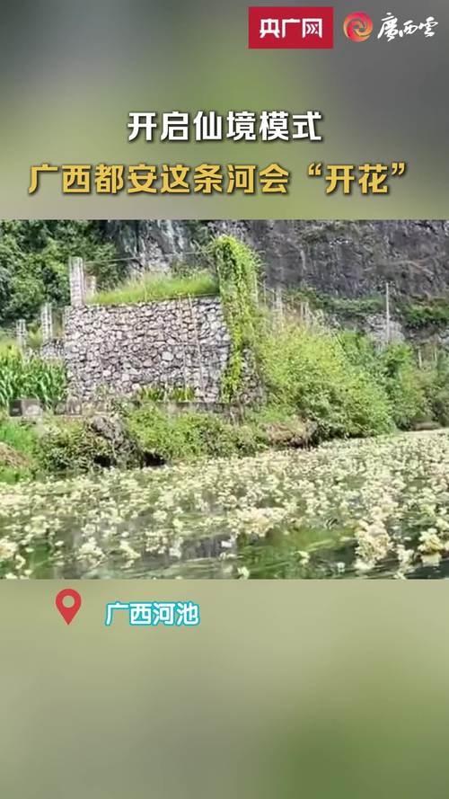 广西都安,疫情防控新挑战与应对策略