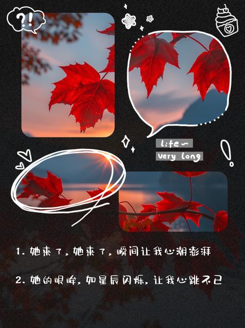 喜马拉雅涨粉自助平台与抖音业务平台,你必看的another story