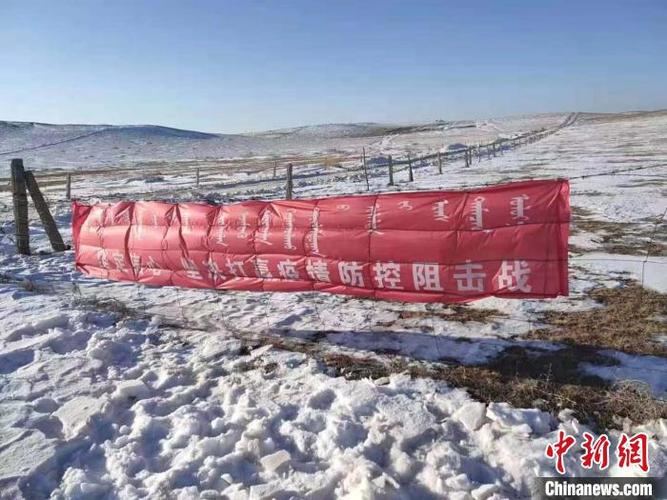 于洪区秋家村最新疫情信息，防控指南出台