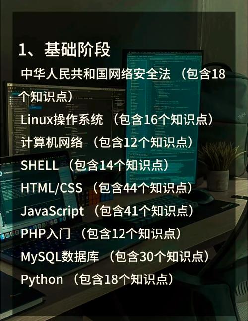 从零开始掌握网络技术，全面解析基础知识与应用
